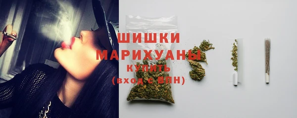 стаф Пересвет
