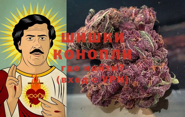 прущая мука Арсеньев