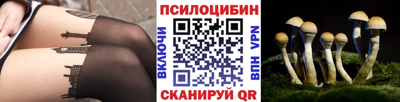 Галлюциногенные грибы GOLDEN TEACHER  Городище 